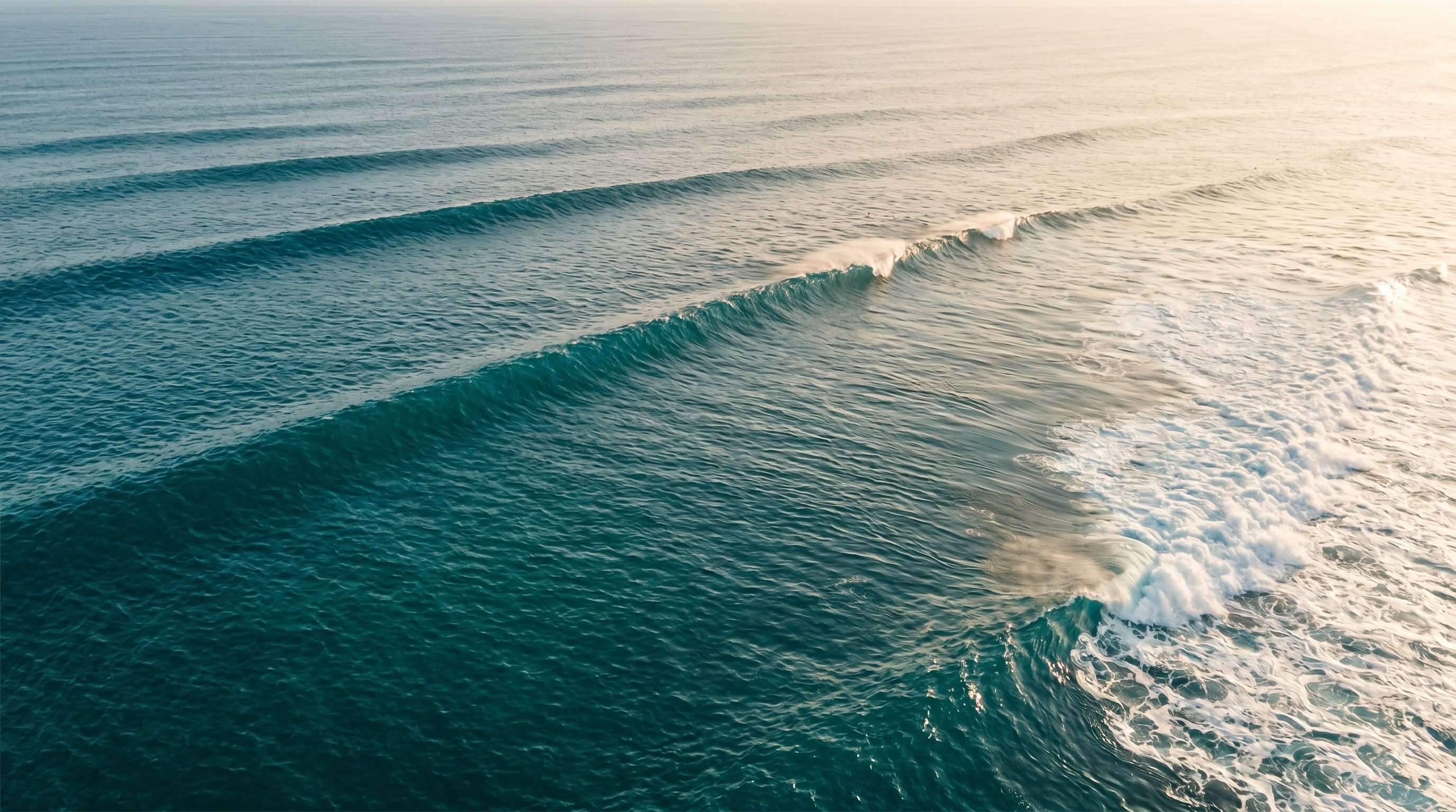 Vue aérienne de cinq à six surfeurs ramant ensemble en formation, communauté en mer